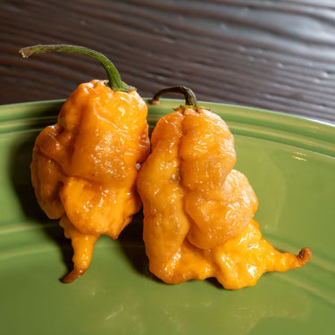 Thors Hammer Peach Pepper Seeds - The Pepper Pantry (Formerly Marie Sharp's)